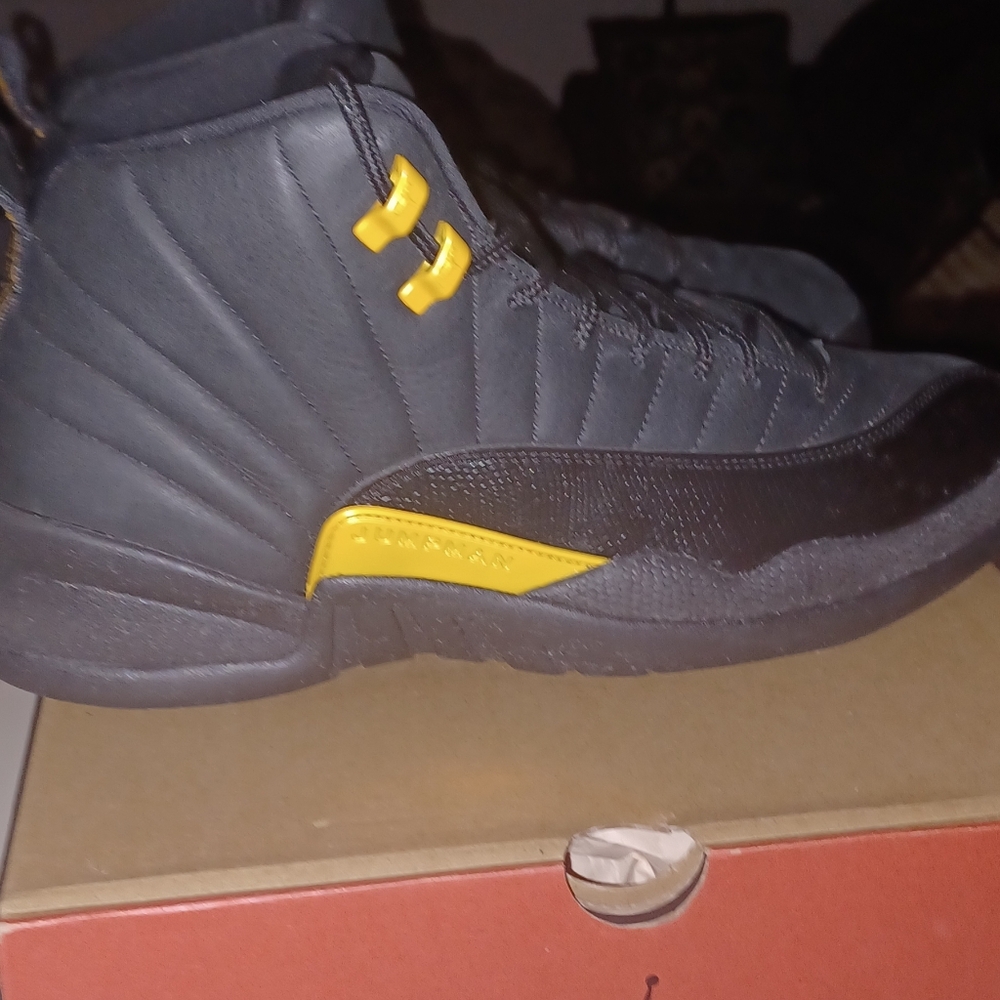 jordan 12